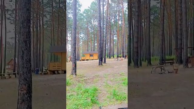 #ШашЛычное производство!!!