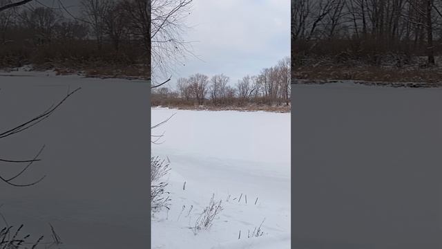 Мечтайте! Радуйтесь! Любите!