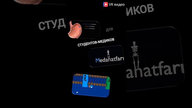 Теперь и в VK видео ссылка в разделе "о канале" #студентмедик #анатомия #гистология #боль #biology