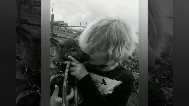 Когда ты и сам Волк, Волчья Мама и Волчиий Вожак