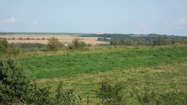 усад_день_телята_DSCF2008_1