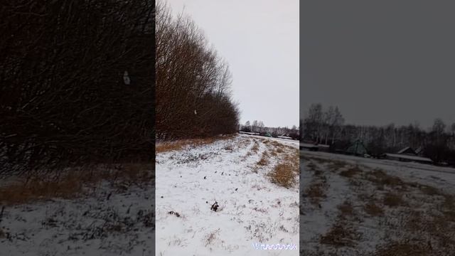 совершить Чудо