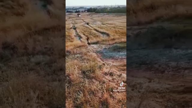 Питбайк Кайо