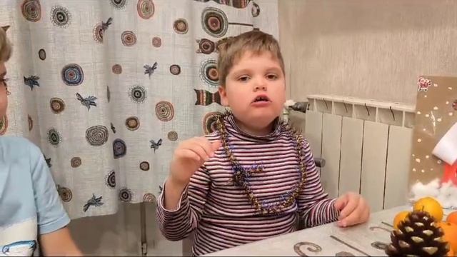 Красильщиковы Фёдор и Степан, 6 лет, г. Москва