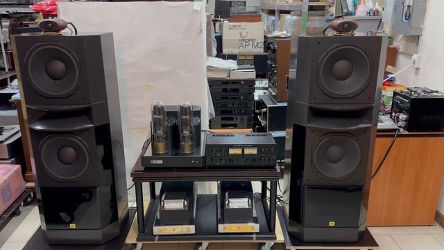 Супер твиттер tannoy ST200 Prestige