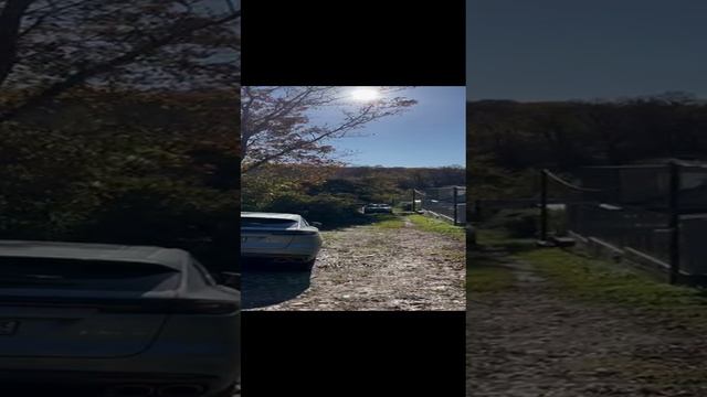 WhatsApp Video 2024-12-19 at 12.14.08
