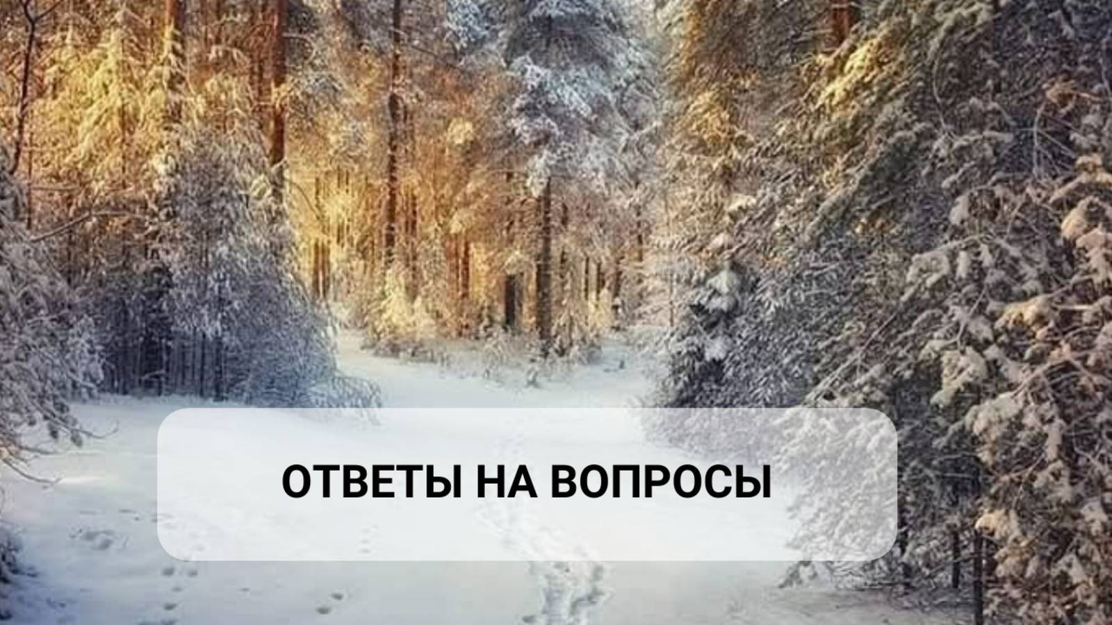 ответы на вопросы 18.12.2024