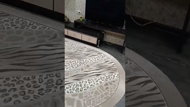 1000043453.mp4