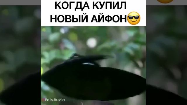 Новый айфон