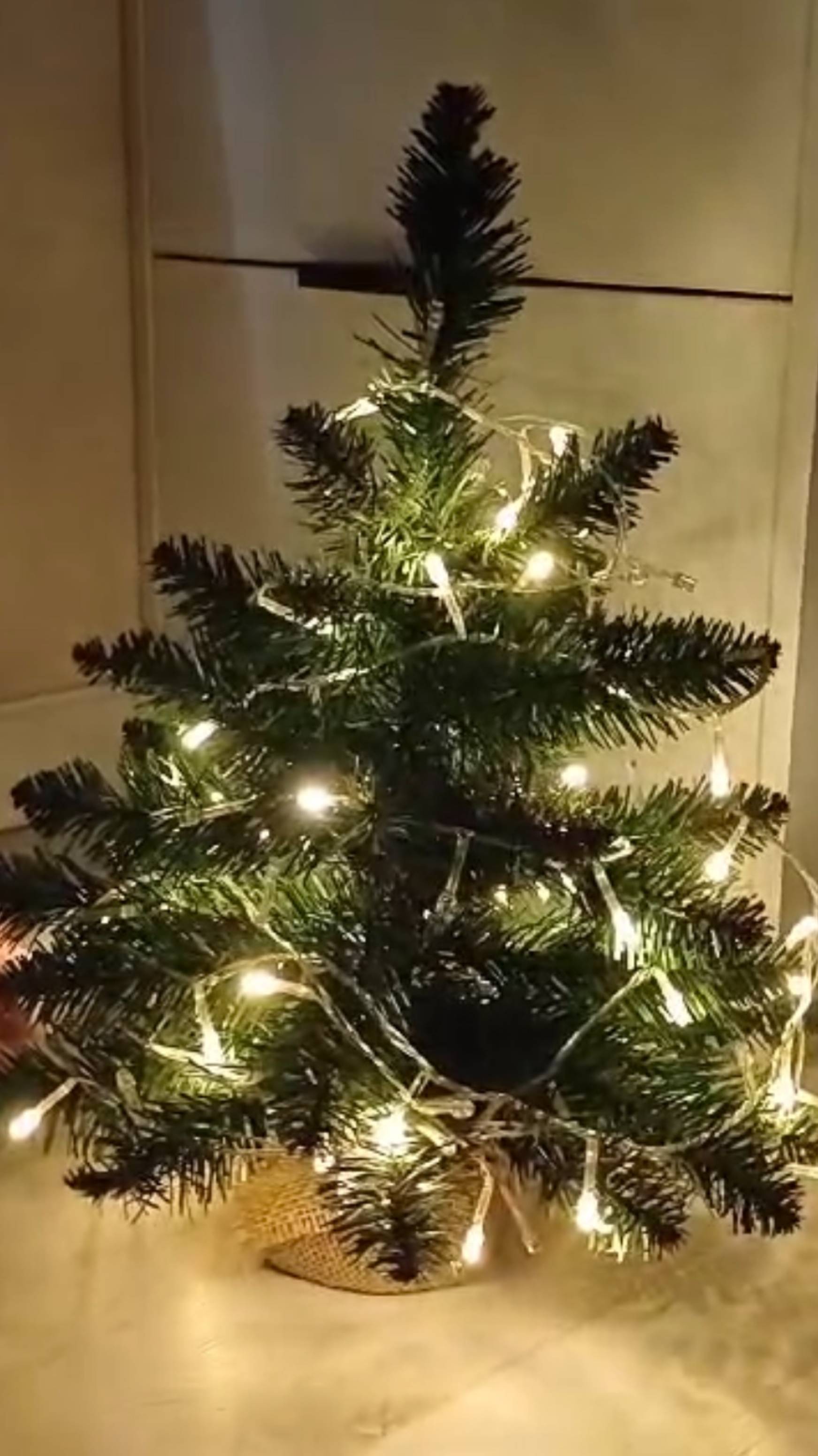 МОЯ НАСТОЛЬНАЯ ЕЛКА🎄