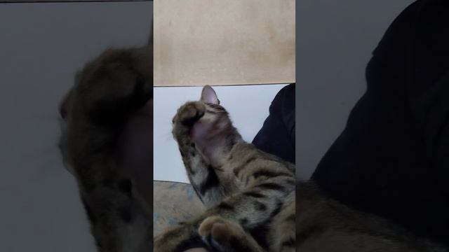 Чистота - залог здоровья