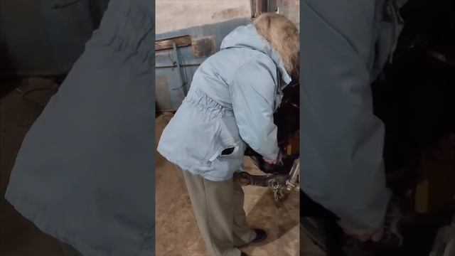 1000018599.mp4