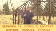 2024 Декабрь. Продолжение "осенних" работ в деревенском саду.