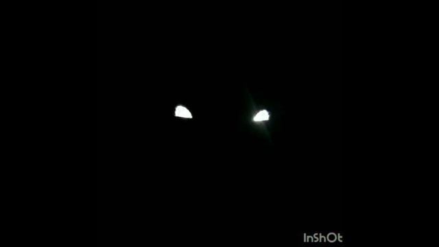 MIGAL174 видео от нашего клиента. Стробоскопы меняющие цвет