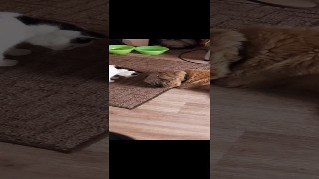 1000067945.mp4
