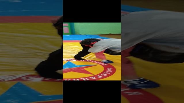 Боевое САМБО