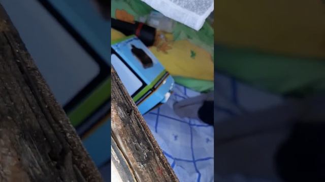ремонт прицепа дачи окно