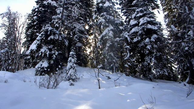 Первый день зимы