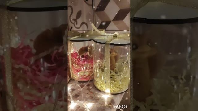 Вот и начали "расползаться"  змейки по своим новым домам ❤️