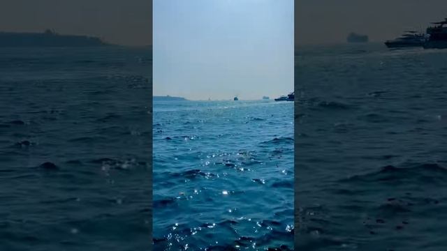 1000004620.mp4