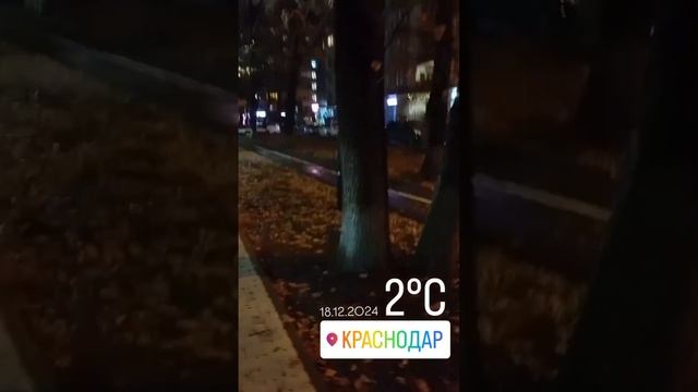 #зимняябегунья😆18 декабря дневник) 17 серия#понедельник#бег#спрот#катялиппа#мотивация#katyalippa