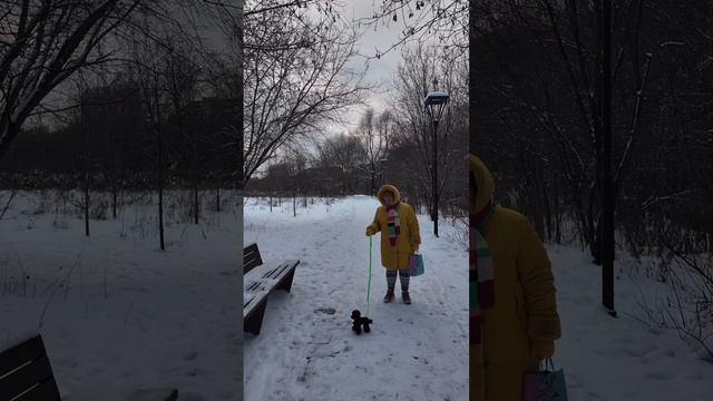 Если хочешь завести собаку, то делай так