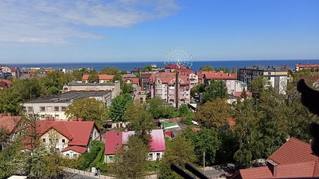 Зеленоградск, вид с водонапорной башни 15.05.24 1