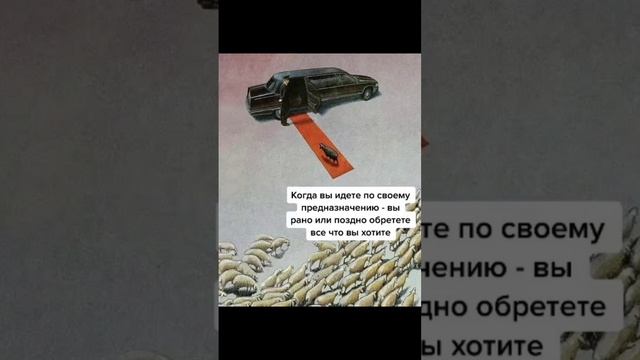 Мысли