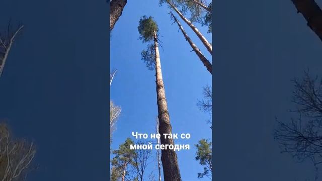 что не так со мной сегодня