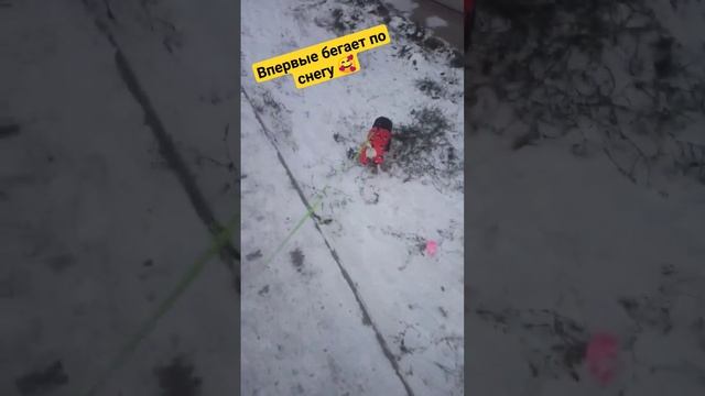 Впервые по снегу