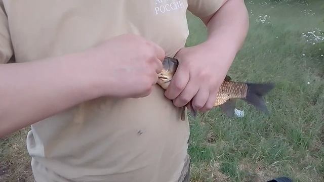 Карась пойман.