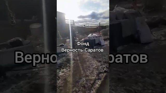 Людмила Абушаева

У нас сегодня было очень много своих волонтёров и новеньких.
В нашем полку прибыва