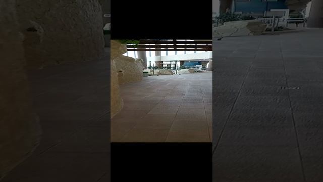 1000005014.mp4