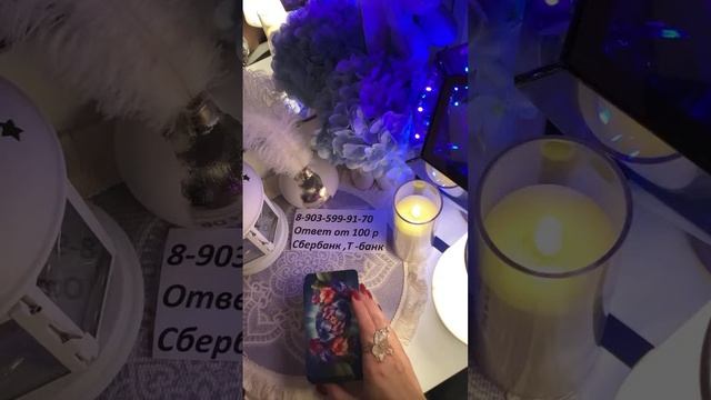 Koshka taro в прямом эфире!