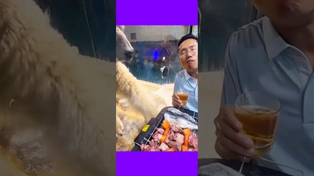 Китайские Забавы