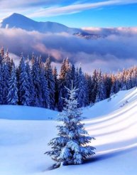 мой первый стрим)))