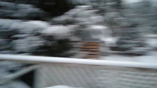Зима вернулась