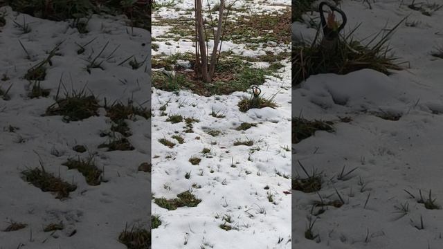 О, сколько  в жизни красоты!