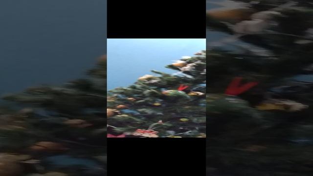 с новым годом