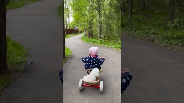Велопрогулка🚲🚴♀️🐶