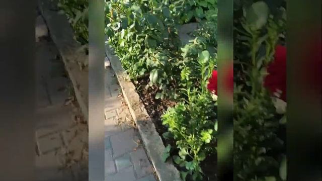 А вы когда встаёте?