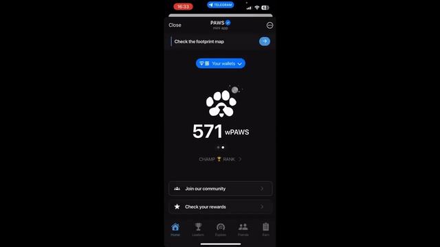 PAWS СНИМОК 30 ДЕКАБРЯ
