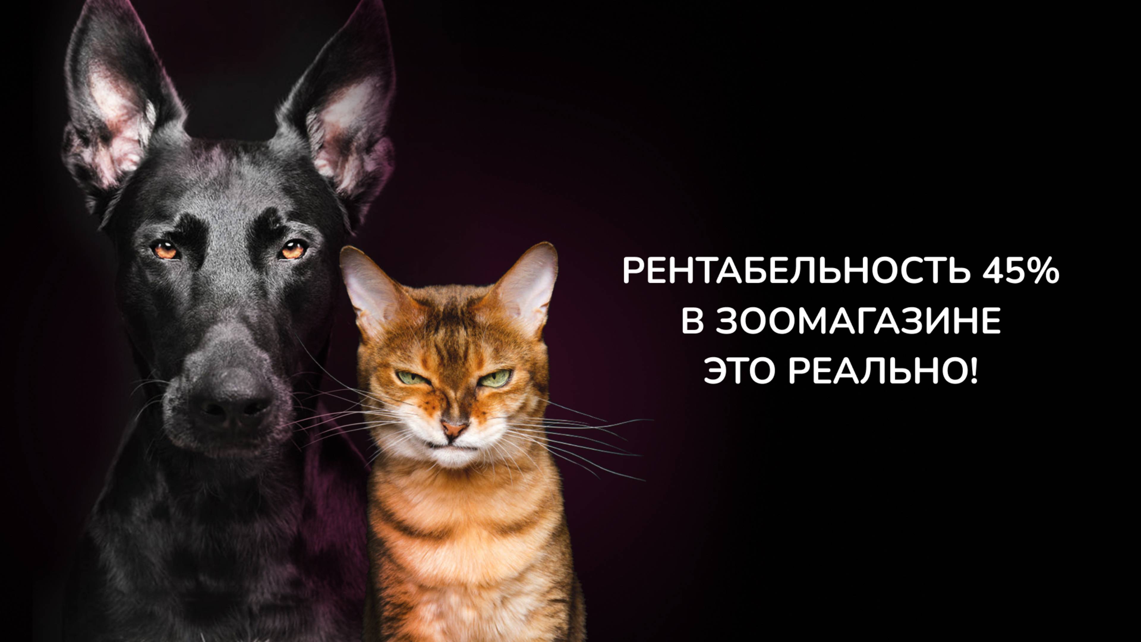 Вебинар. Рентабельность 45% в зоомагазине
