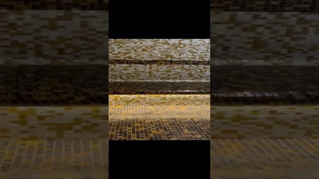 1000048256.mp4