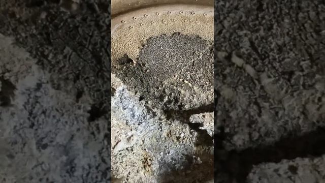 Как почистить стиральную машину лимонной кислотой