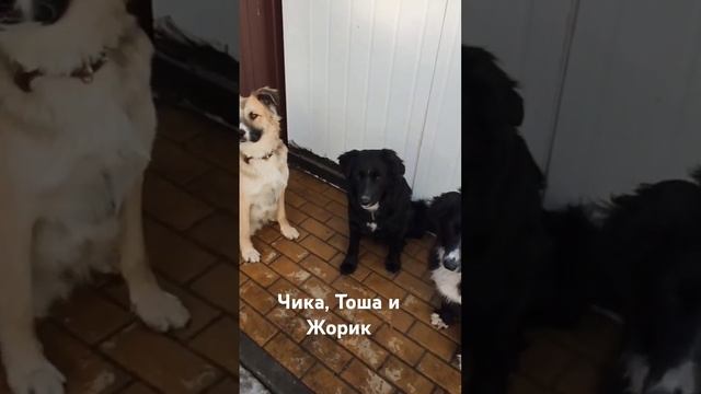 3 ноября 2024 г.