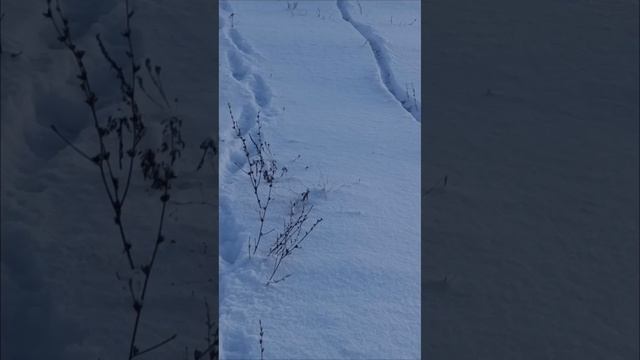 питбайк по снегу