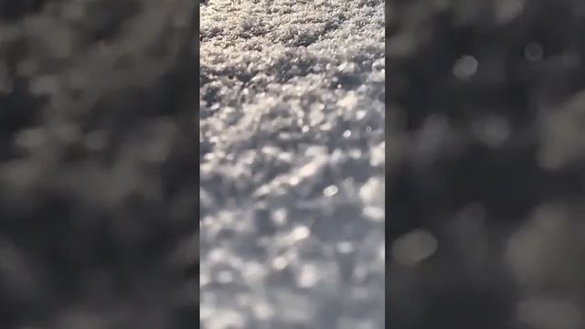 Делитесь в комментах своими фото и видео зимней красоты
