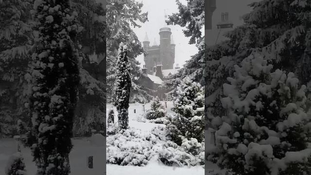 #шотландия #снег