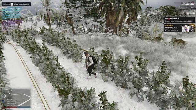 Grand Theft Auto V 2024.12.19 - 16.35.10.03.DVR